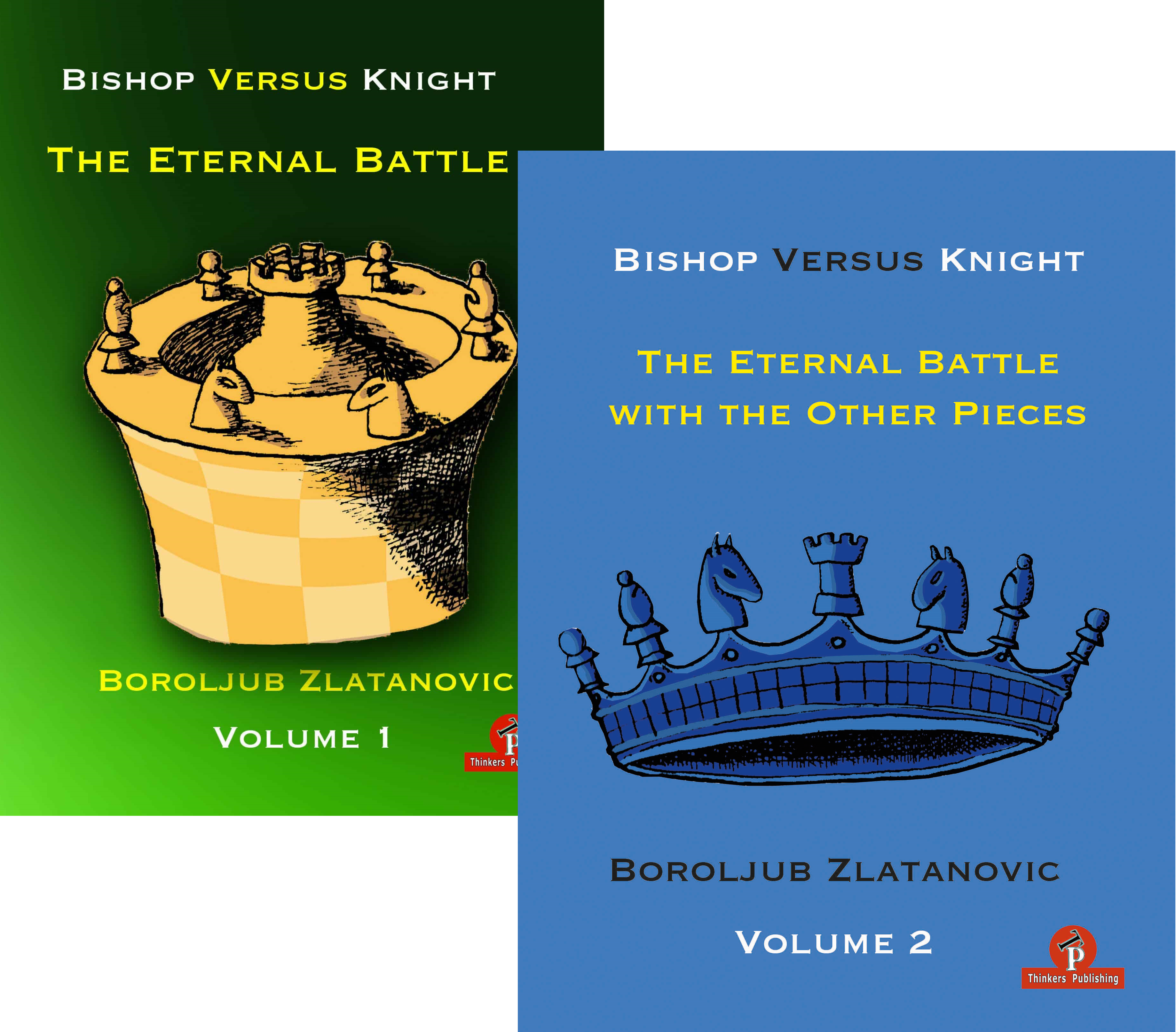 Knight Vs Bishop Endgame, Principles of Chess Endgames