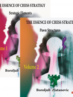 The Essence of Chess Strategy – Vol. 1 & Vol. 2 (bundle)